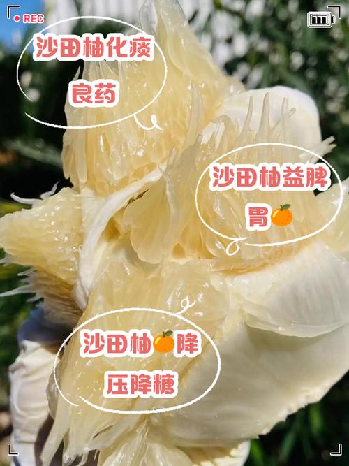 沙田柚的功效与作用？沙田柚的功效与作用吃什么降血糖快？-第5张图片-优品飞百科