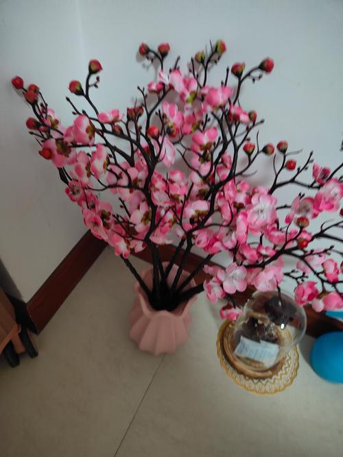 家里这个位置，摆盆红色的花，财运滚滚桃花旺！？家里摆红色的花好吗？-第7张图片-优品飞百科