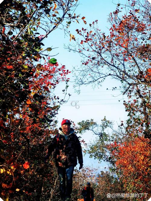 扎鲁特天气预报，扎鲁特天气预报60天查询？-第6张图片-优品飞百科