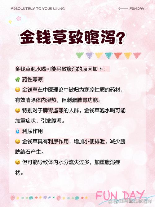 孕妇可以喝金钱草泡的水吗，金钱草泡水喝的好处，孕妇可不可以喝金钱草水-第4张图片-优品飞百科
