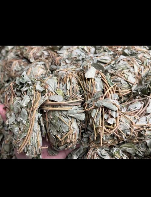 孕妇可以喝金钱草泡的水吗，金钱草泡水喝的好处，孕妇可不可以喝金钱草水-第5张图片-优品飞百科