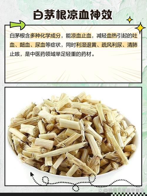 白茅根的作用和功效？白茅根的作用与功效?？-第4张图片-优品飞百科