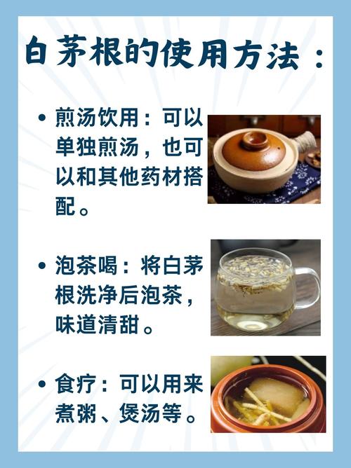 白茅根的作用和功效？白茅根的作用与功效?？-第5张图片-优品飞百科