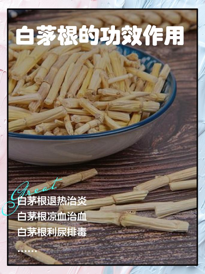白茅根的作用和功效？白茅根的作用与功效?？-第6张图片-优品飞百科