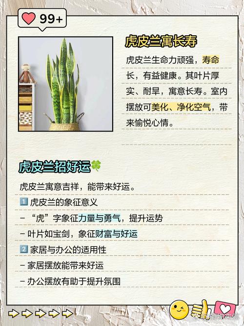 虎皮兰的花语和寓意，送人有什么禁忌，虎皮兰花的花语是什么-第4张图片-优品飞百科