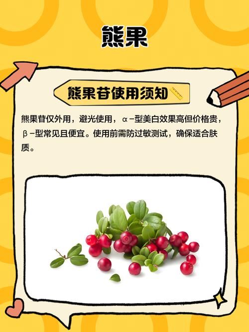 熊果的功效与作用，熊果苷的功效与作用-第2张图片-优品飞百科