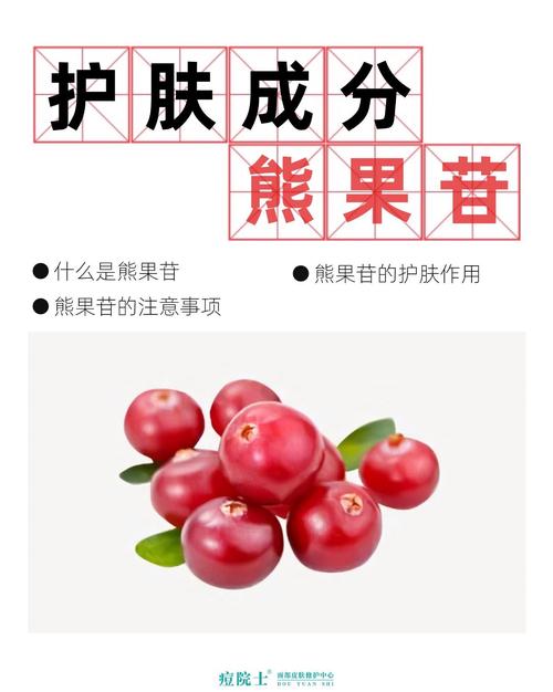 熊果的功效与作用，熊果苷的功效与作用-第5张图片-优品飞百科