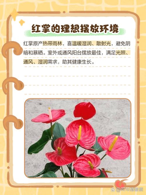 红掌可以放在客厅吗，红掌可不可以放房间-第4张图片-优品飞百科