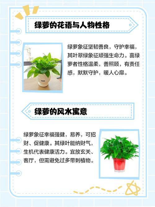 家里能放绿萝吗，家养绿萝有什么注意事项？家里可以放绿箩吗？-第4张图片-优品飞百科