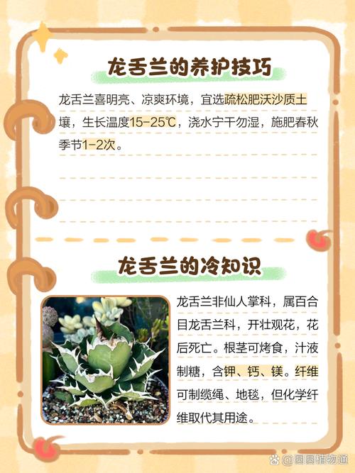 龙舌兰有什么作用,龙舌兰的作用-第2张图片-优品飞百科 龙舌兰有什么作用,龙舌兰的作用-第2张图片-优品飞百科