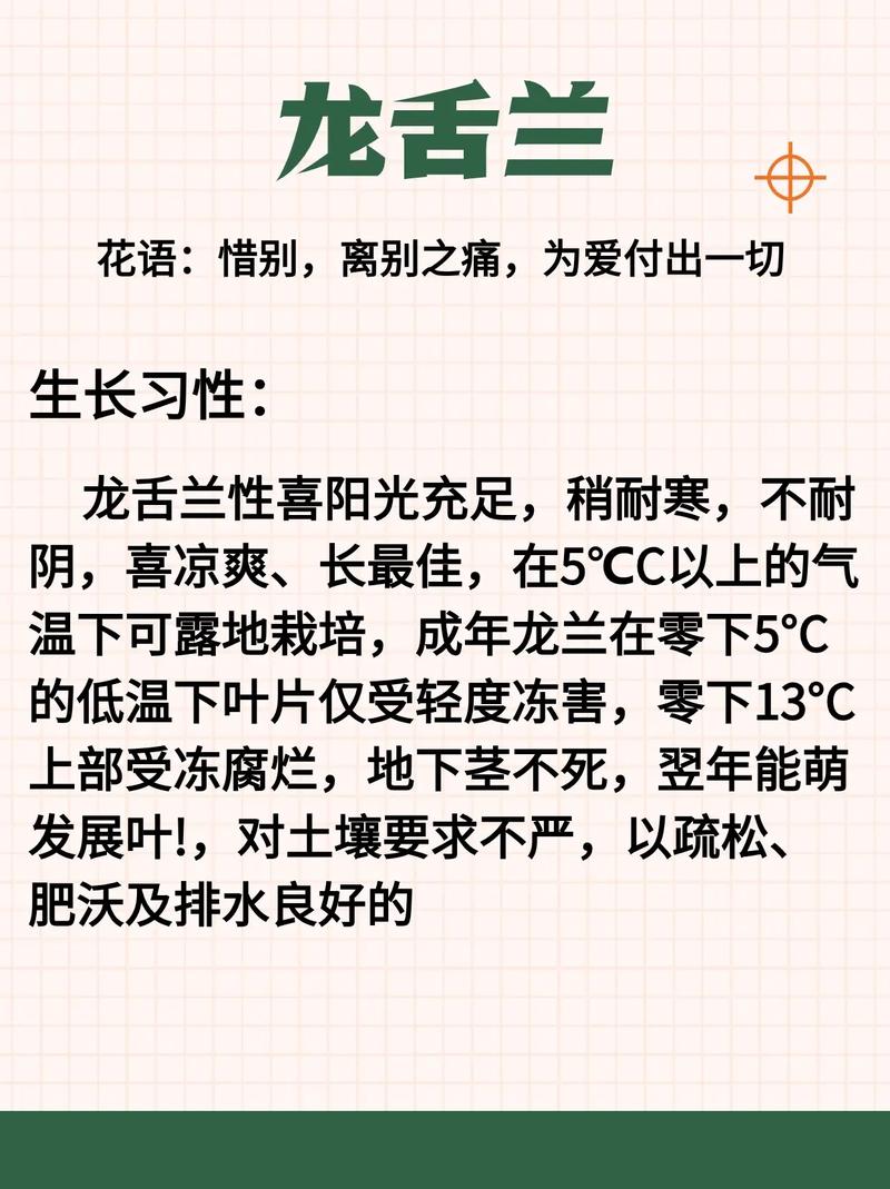 龙舌兰有什么作用,龙舌兰的作用-第4张图片-优品飞百科 龙舌兰有什么作用,龙舌兰的作用-第4张图片-优品飞百科