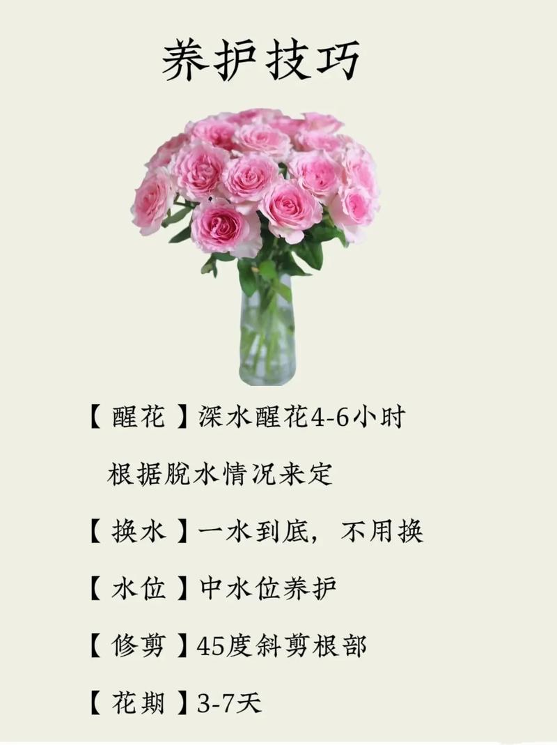 醉鱼草花语是什么？醉鱼草长什么样子有什么特征?？-第6张图片-优品飞百科