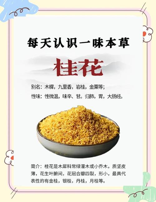 桂花有什么作用，桂花有什么作用和功效-第2张图片-优品飞百科