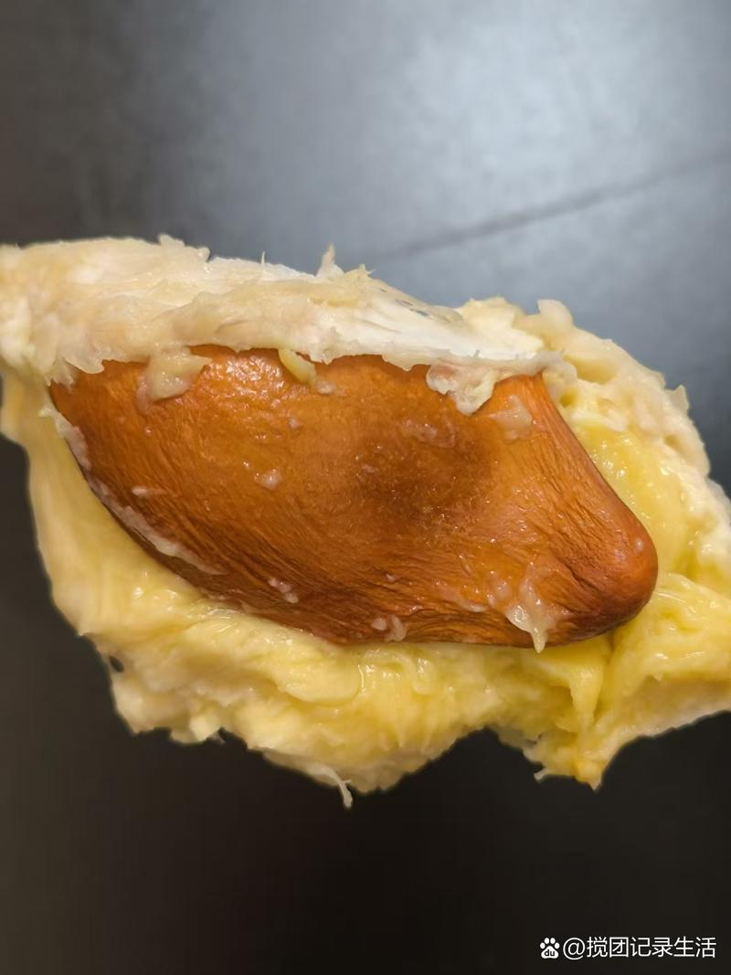 榴莲籽可以吃吗，核可以吃吗，榴莲籽能干啥用？-第1张图片-优品飞百科