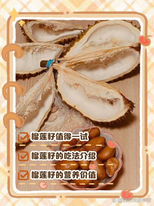 榴莲籽可以吃吗，核可以吃吗，榴莲籽能干啥用？-第3张图片-优品飞百科