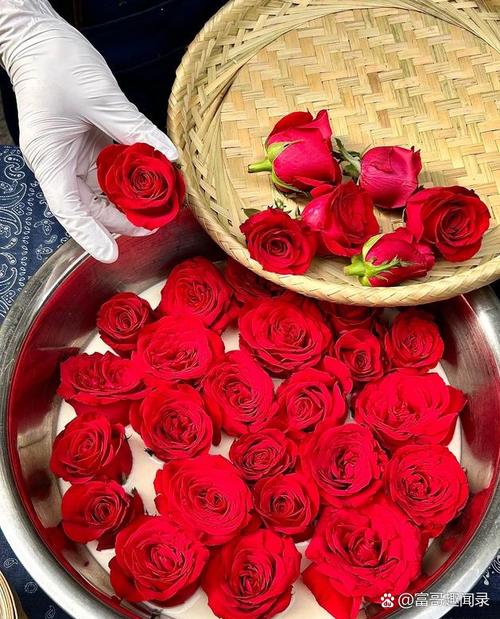 家里摆了这盆花,越住越难受!,家里摆花有什么寓意?-第2张图片-优品飞百科 家里摆了这盆花,越住越难受!,家里摆花有什么寓意?-第2张图片-优品飞百科