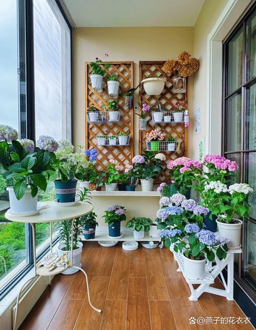 家里摆了这盆花,越住越难受!,家里摆花有什么寓意?-第3张图片-优品飞百科 家里摆了这盆花,越住越难受!,家里摆花有什么寓意?-第3张图片-优品飞百科