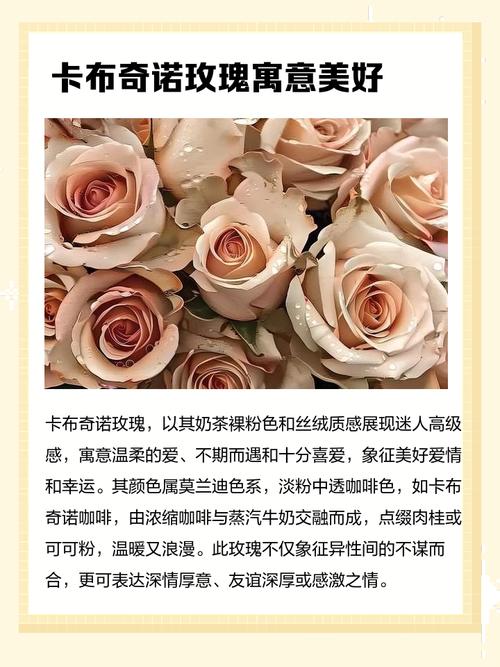 向外国人送花禁忌，给外国人送礼物的禁忌？-第5张图片-优品飞百科