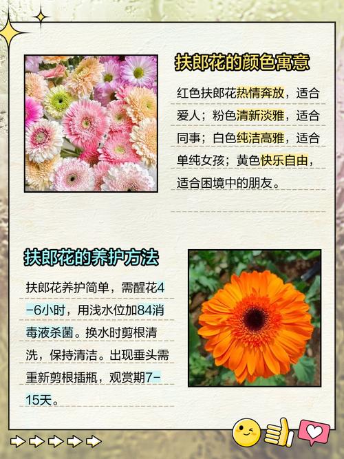 向外国人送花禁忌，给外国人送礼物的禁忌？-第7张图片-优品飞百科