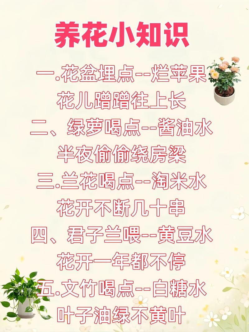 向外国人送花禁忌，给外国人送礼物的禁忌？-第8张图片-优品飞百科