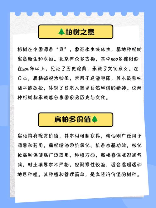 扁柏的功效与作用禁忌？扁柏别名？-第2张图片-优品飞百科