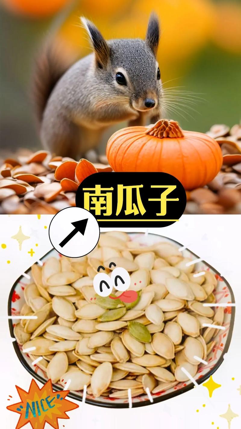 生南瓜子能吃吗，南瓜子怎么吃，生南瓜子能治什么病？