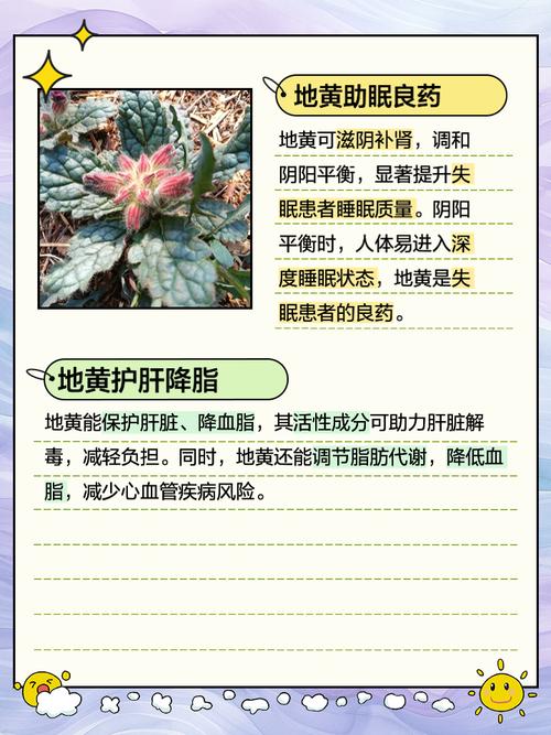 洋地黄的功效和作用？洋地黄的功效和作用是什么？-第8张图片-优品飞百科