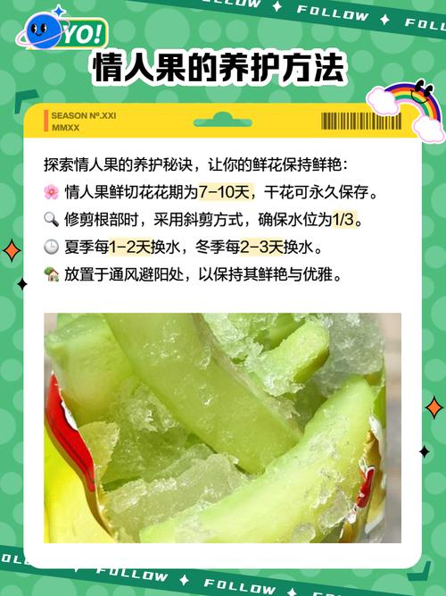 情人果是什么水果，长什么样子，情人果含糖量高吗？-第1张图片-优品飞百科