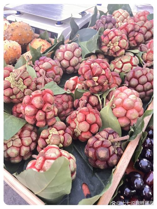 情人果是什么水果，长什么样子，情人果含糖量高吗？-第5张图片-优品飞百科