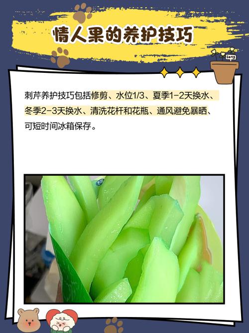 情人果是什么水果，长什么样子，情人果含糖量高吗？-第7张图片-优品飞百科