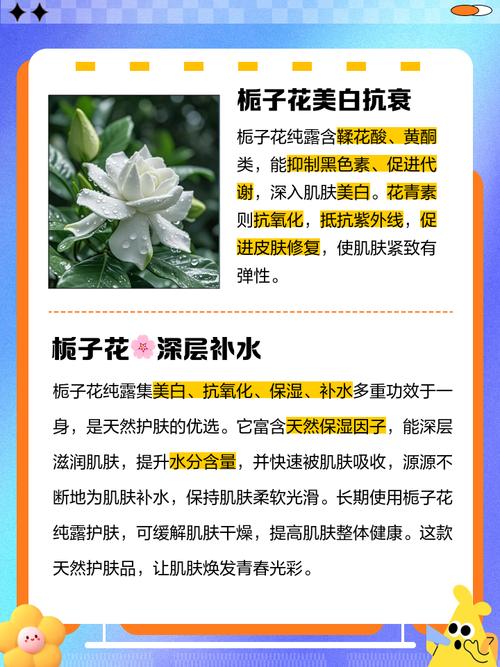 栀子花的功效与作用？栀子的功效与作用？-第2张图片-优品飞百科