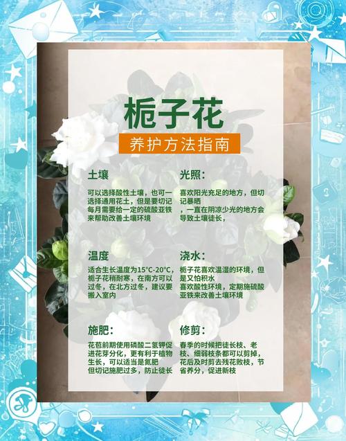 栀子花的功效与作用？栀子的功效与作用？-第3张图片-优品飞百科