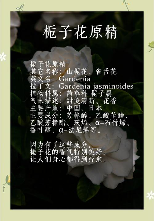 栀子花的功效与作用？栀子的功效与作用？-第5张图片-优品飞百科