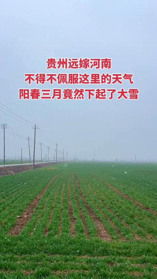 漯河市一周天气预报？漯河市一周天气预报30天？-第3张图片-优品飞百科