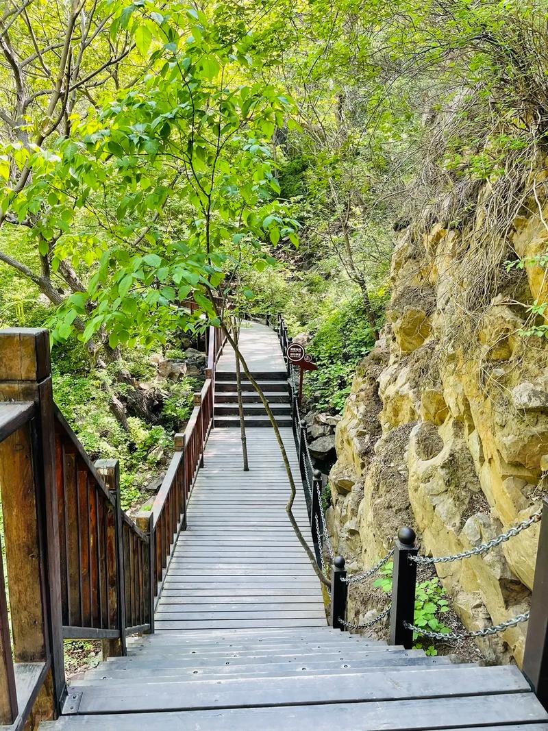 梨木台天气预报，蓟州梨木台天气预报-第6张图片-优品飞百科