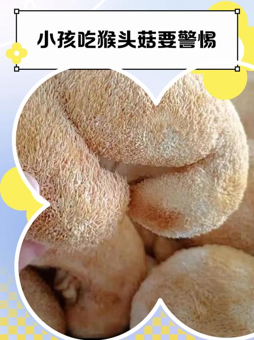 猴头菇怎么吃,什么人不适合吃,猴头菇怎么吃三种养胃做法-第2张图片-优品飞百科 猴头菇怎么吃,什么人不适合吃,猴头菇怎么吃三种养胃做法-第2张图片-优品飞百科