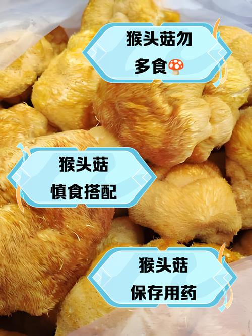 猴头菇怎么吃,什么人不适合吃,猴头菇怎么吃三种养胃做法-第3张图片-优品飞百科 猴头菇怎么吃,什么人不适合吃,猴头菇怎么吃三种养胃做法-第3张图片-优品飞百科