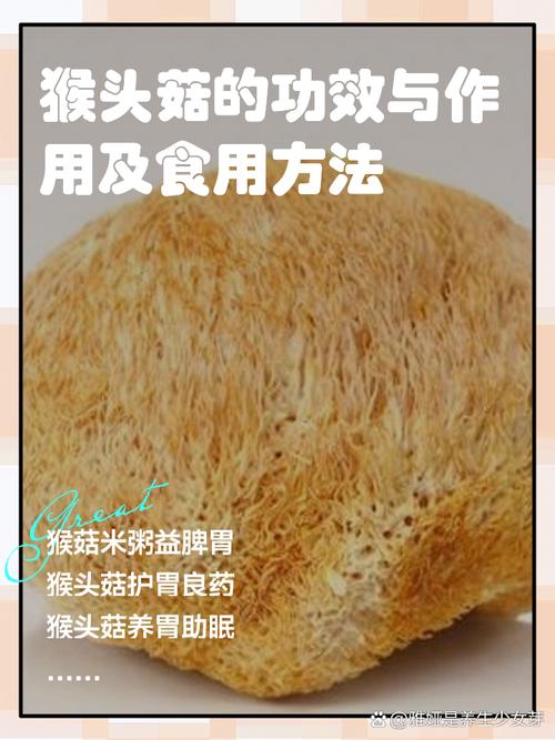 猴头菇怎么吃,什么人不适合吃,猴头菇怎么吃三种养胃做法-第5张图片-优品飞百科 猴头菇怎么吃,什么人不适合吃,猴头菇怎么吃三种养胃做法-第5张图片-优品飞百科