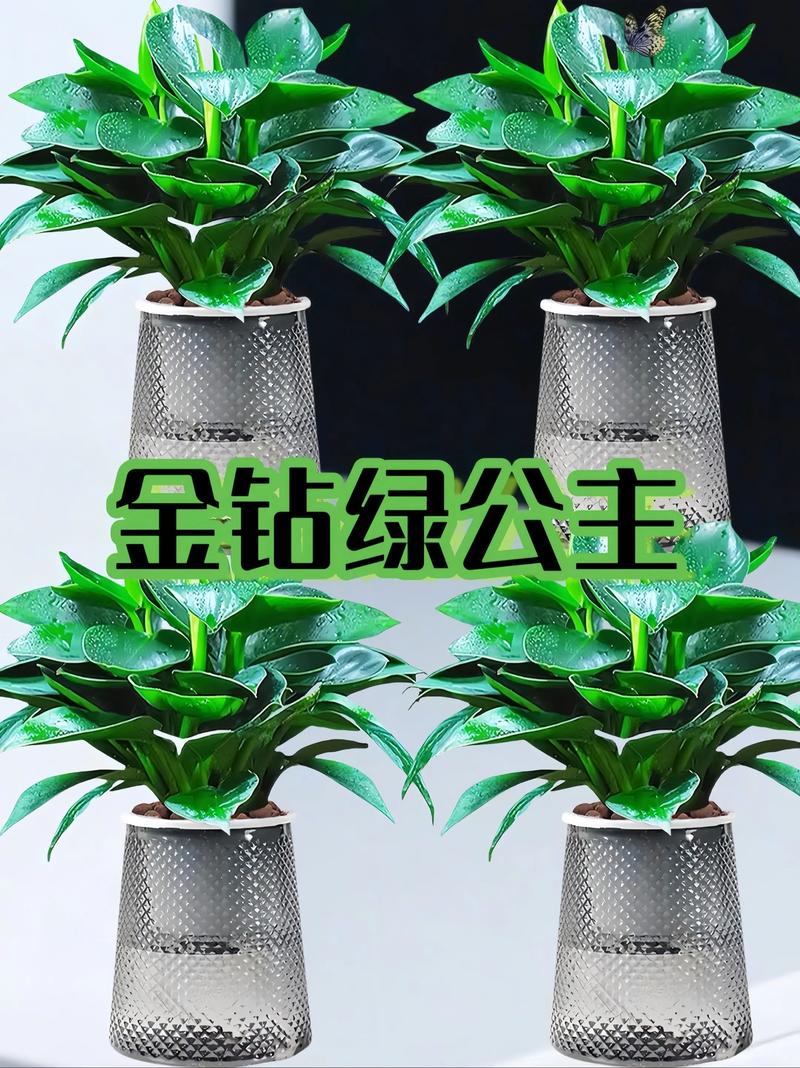 镇宅辟邪的盆栽植物，镇宅辟邪的盆栽植物是什么？-第4张图片-优品飞百科