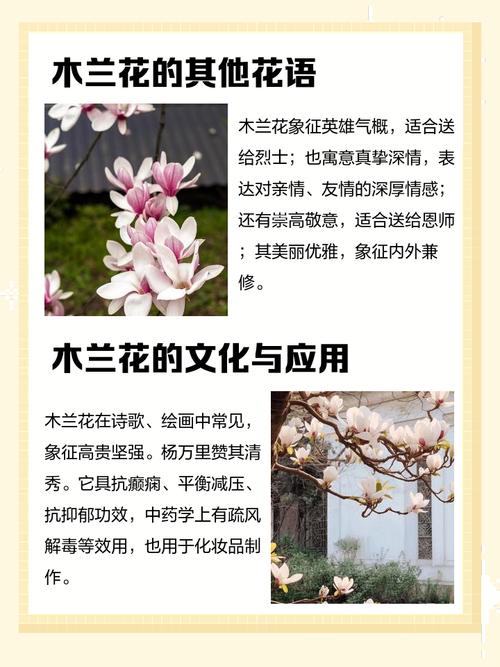 红花蕉的花语及其价值?红花蕉图片?-第4张图片-优品飞百科 红花蕉的花语及其价值?红花蕉图片?-第4张图片-优品飞百科