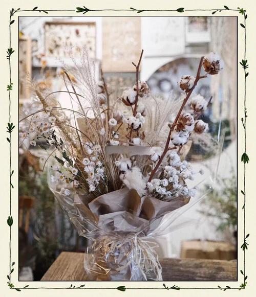 棉花的花语是什么，棉花有什么花语-第1张图片-优品飞百科