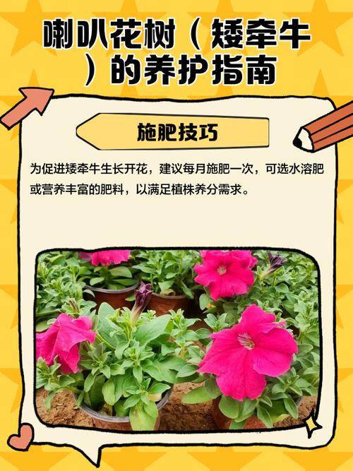 矮牵牛花的养殖方法和注意事项，矮牵牛花的养殖方法和注意事项视频-第3张图片-优品飞百科
