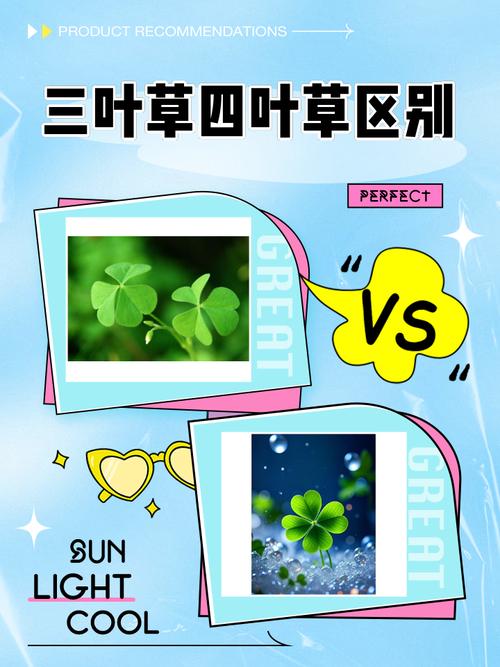 酢浆草是否四叶草，醋酱草和四叶草的区别？酢浆草有四片叶子的吗？-第5张图片-优品飞百科