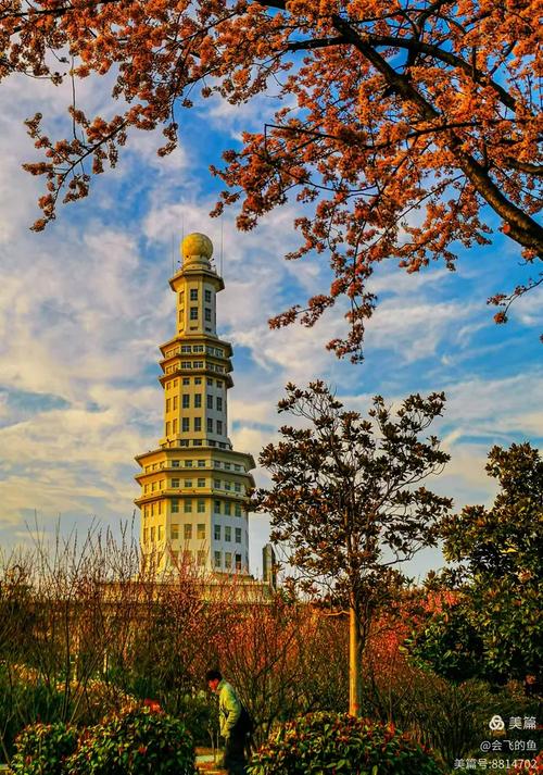 河南省项城市天气预报?河南省周口市项城市天气预报一周?-第2张图片-优品飞百科 河南省项城市天气预报?河南省周口市项城市天气预报一周?-第2张图片-优品飞百科