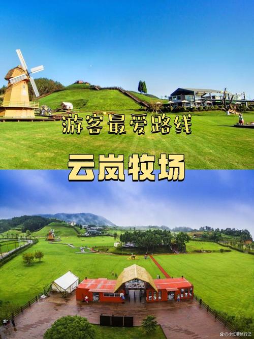 泰顺雅阳天气预报？泰顺雅阳天气预报30天？-第1张图片-优品飞百科