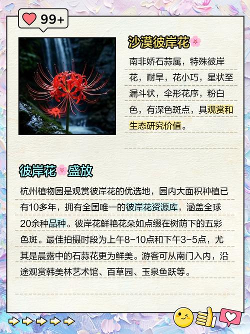 彼岸花喜欢什么环境，彼岸花适合在什么环境生长？彼岸花适合在什么环境下生长？-第6张图片-优品飞百科