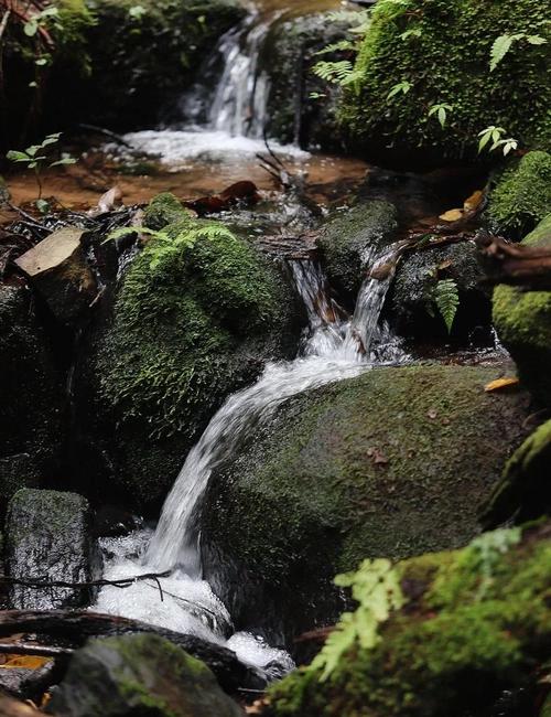 楚雄市天气预报，楚雄市天气预报7天查询？-第4张图片-优品飞百科