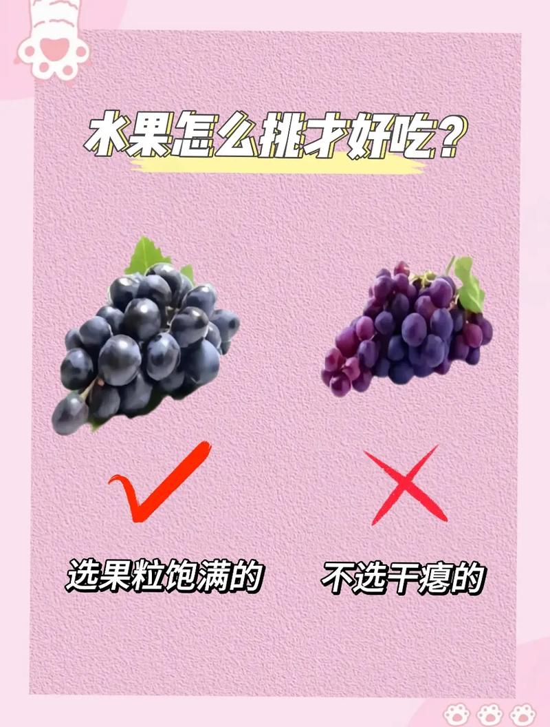 火龙果怎么挑，火龙果费用，火龙果应该如何挑选？-第5张图片-优品飞百科