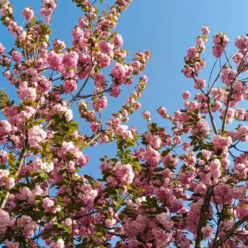 江苏无锡一周天气预报，官方正版无广告的天气预报软件-第1张图片-优品飞百科