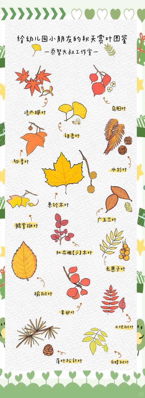 冬天植物的变化，秋天植物的变化，冬天植物的变化,秋天植物的变化是什么？-第3张图片-优品飞百科